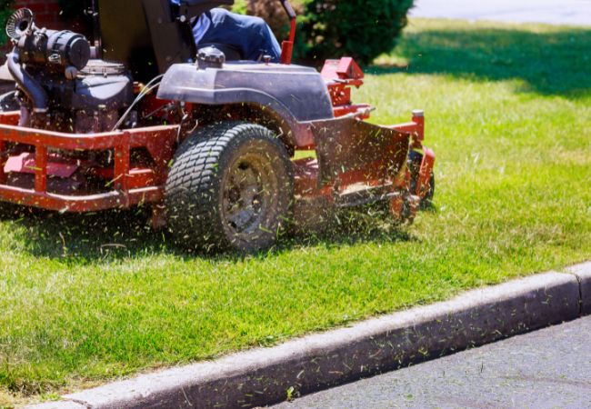 Fractional CFO Services for Landscaping Companies